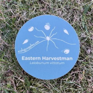 The Dispersers Stickers - 3 inch Circles - Harvestman