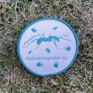 The Dispersers Patches - 3 inch Circles - Ant 1