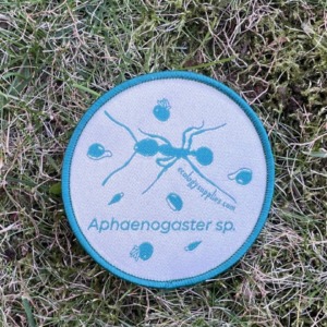 The Dispersers Patches - 3 inch Circles - Ant2