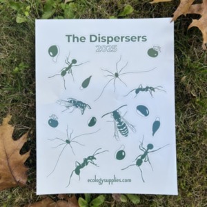 The Dispersers Stickers - Sheet