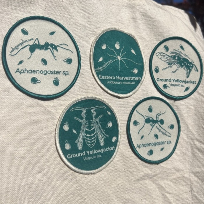 The Dispersers Patches - 5 Pack