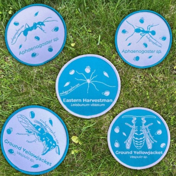 The Dispersers Patches - 3 inch Circles