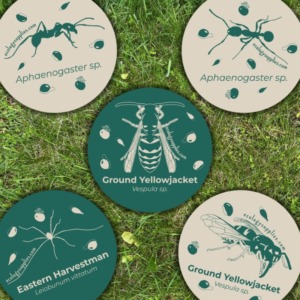 The Dispersers Stickers - 3 inch Circles