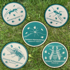 The Dispersers Patches - 3 inch Circles