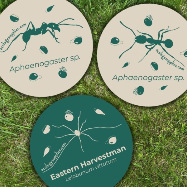 The Dispersers Stickers - 3 inch Circles