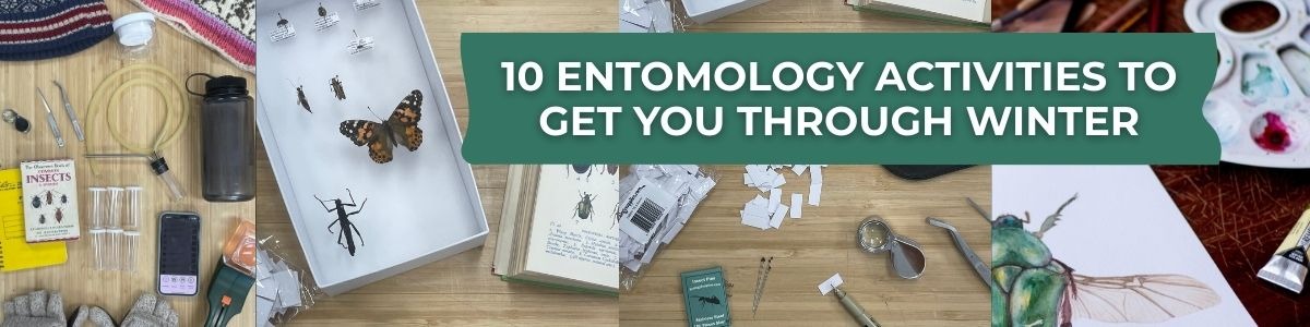 FEB - Entomologist guide for winter