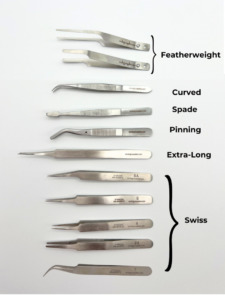 forceps