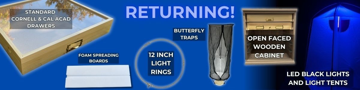 JULY- RETURNING