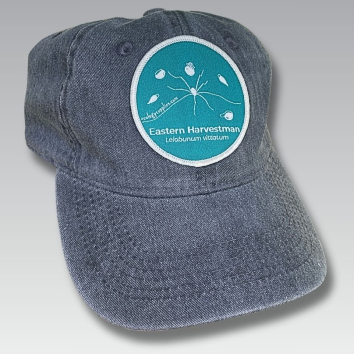 The Dispersers Patch Hat